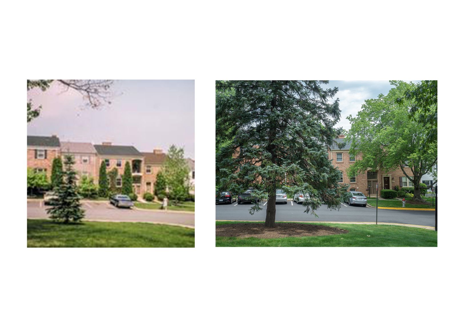 Stonehurst HOA Stonehurst turns 50!!!